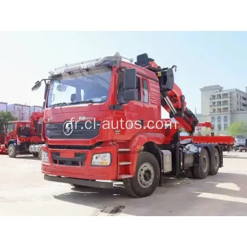 Shacman Tractor Head 6x4 10weels Tractor Truck avec 16 tonnes Grane Crane